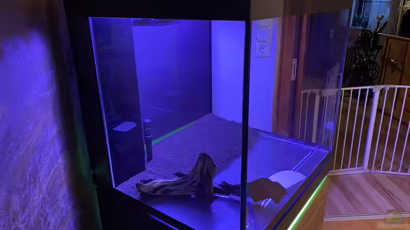 Deponit,Wurzeln  von Ottche (10)