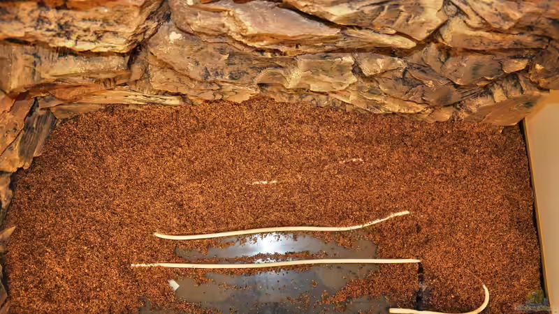 Deponnit Mix von rodpod (9)