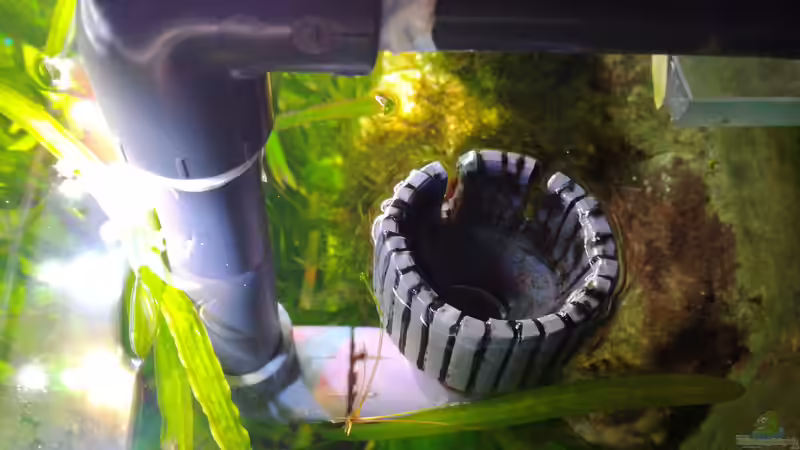 Der 2. Oberflächenabzug führt direkt zu dem UVC-Klärer von Lance Hardwood (39)