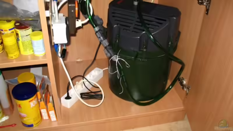 der 2260 ist leider zu hoch, daher ´nur´ der kleine Bruder von Claudia Müller (9)