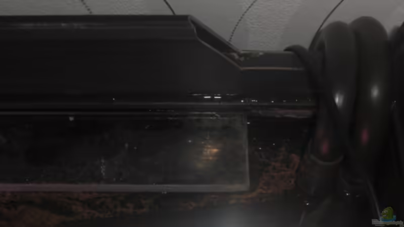 Der Ab-und Zulauf von Kai Pragal (18)