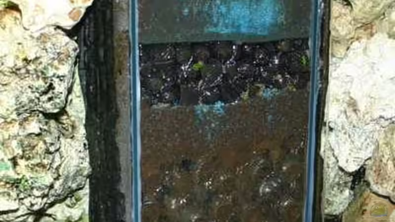 Der Ablaufschacht. von Ingo (24)