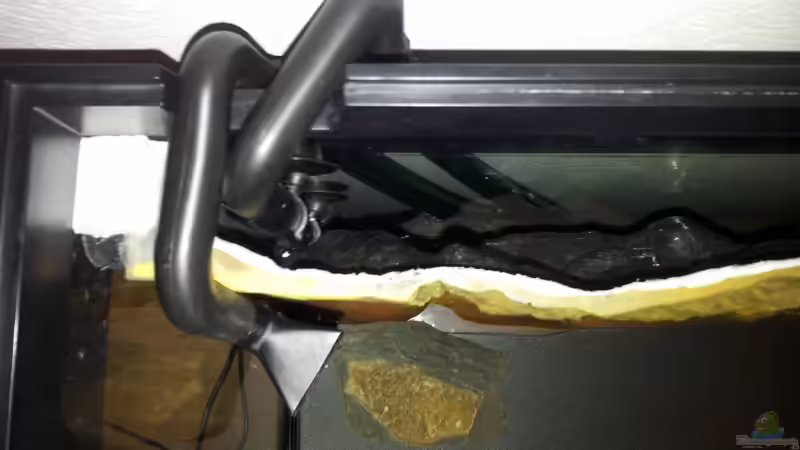 Der Absauger befindet sich hinter der Rückwand von Martin N. (6)