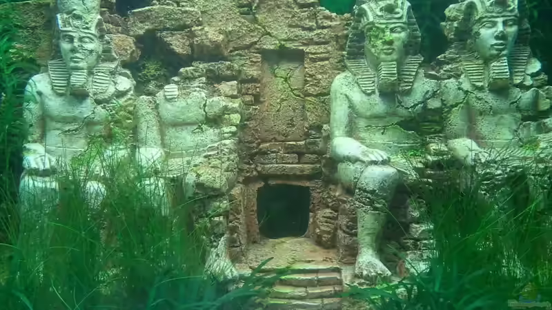 Der Abu Simbel von Simon Says (7)