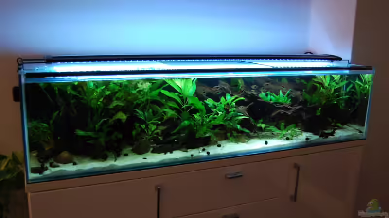 der aktuelle Stand nach knapp 2 Monaten Laufzeit von Berlin42 (21)