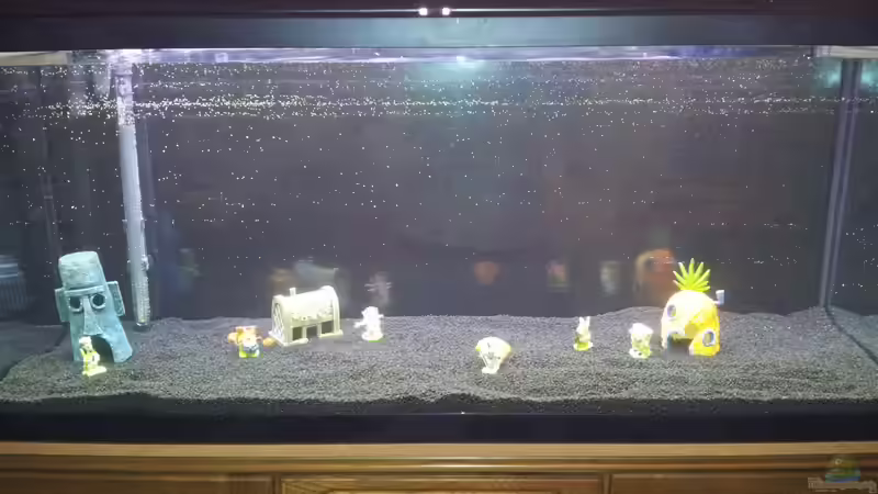 der aller erste Tag....war noch so faziniert von Kinder-Deko :-) von oliK (4)