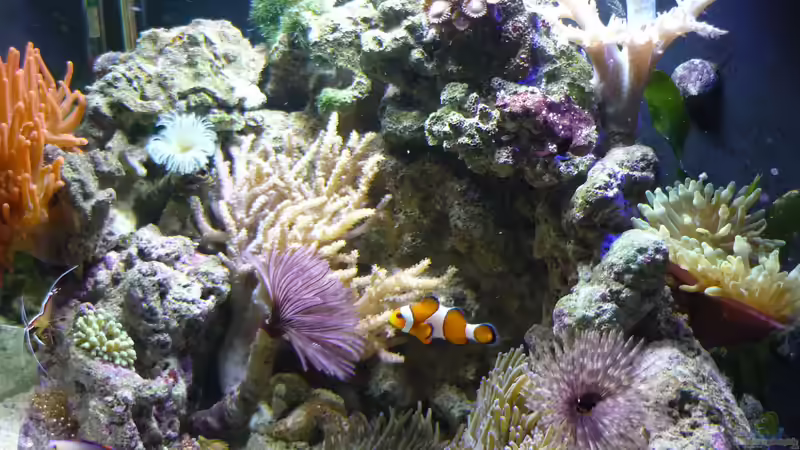 Der Alltag von Red ( Jürgen ) (10)