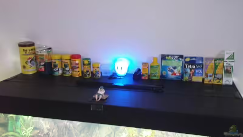 Der Alte Seeman mit Fischfutter von Stgt.WEST (2)