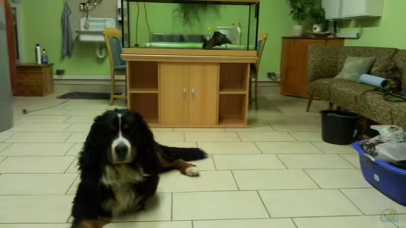 Der Anfang... Becken streng bewacht... ;) von Tommy Büttner (2)