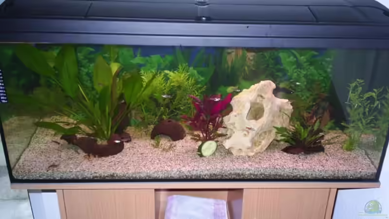 DER ANFANG  28.10.08 von Sauerlandmicha (2)