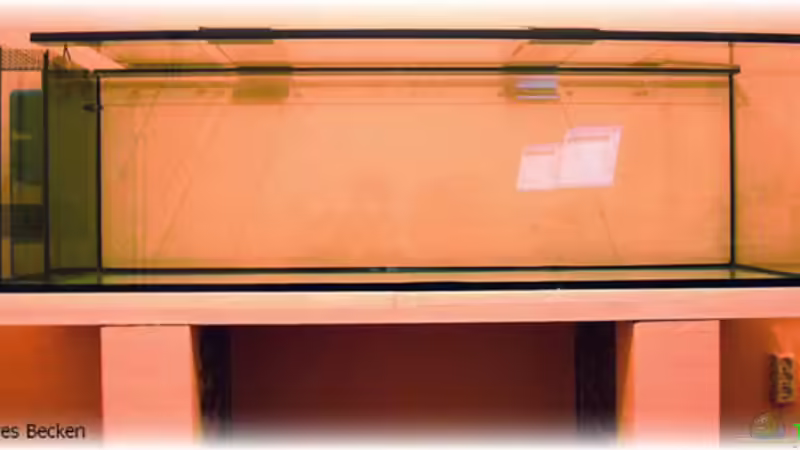 Der Anfang, leeres Becken von Theodor Schmidt (2)