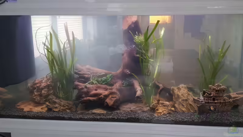 Der Anfang (2) von Nordlicht Ka (3)