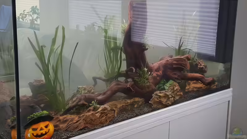 Der Anfang (3) von Nordlicht Ka (4)