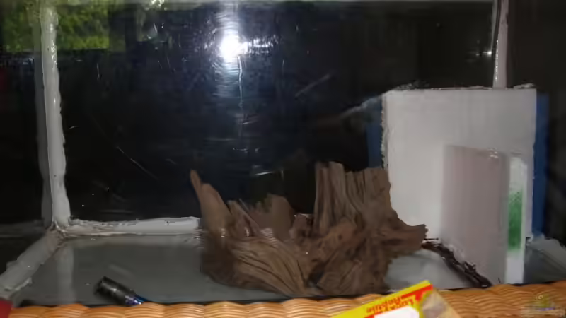 der Anfang des Beckens von Johannes (6)