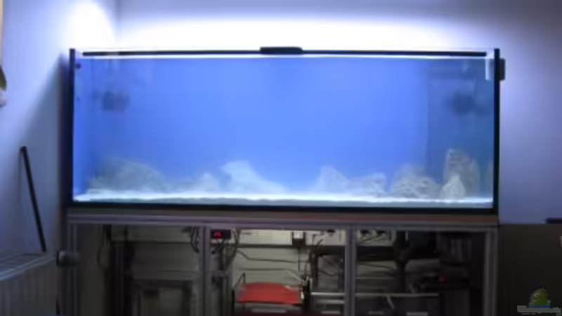 Der Anfang ist gemacht. von Harald (2)