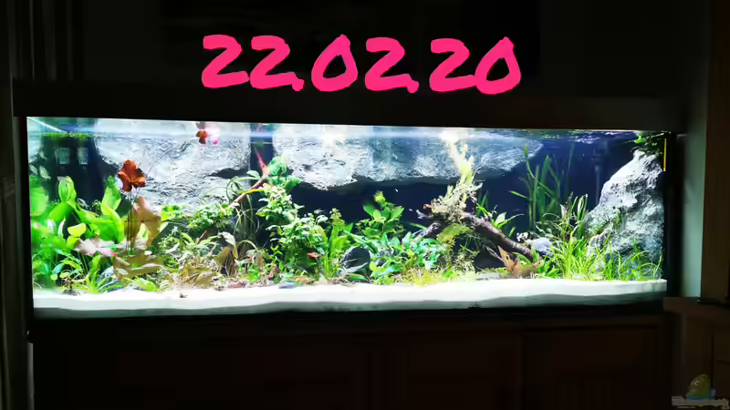 Der Anfang ist gemacht  von Heike Fuchs (2)