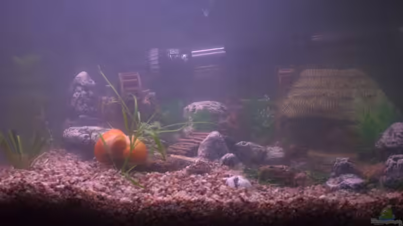 Der Anfang ist gemacht von SteB-Studio