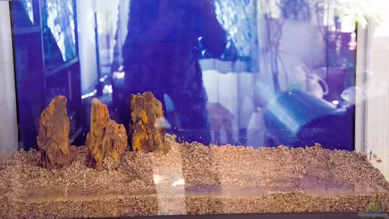 Der Anfang von Acki50 (2)