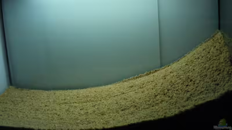 Der Anfang von Falk (2)