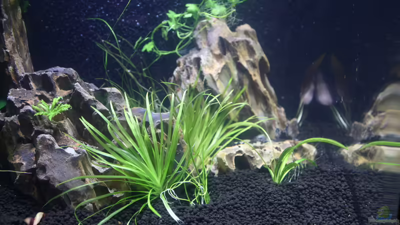 der Anfang von hotwheelz (17)