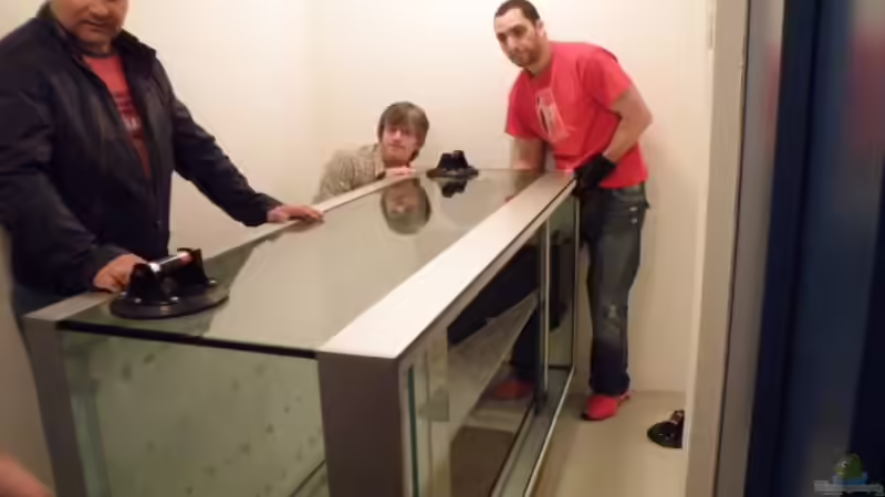 Der Anfang von Jennifer Clee (2)