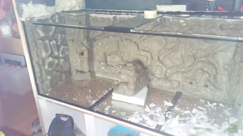 der Anfang von M.G (2)