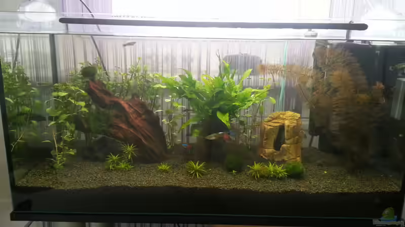 Der Anfang von Marcel Witt (2)