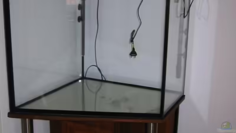 Der Anfang! von Michael Grube (2)