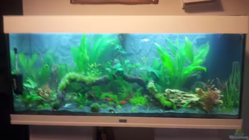 Der Anfang von Nixe1991 (5)