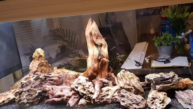 Der Anfang von Nordlicht Ka (2)