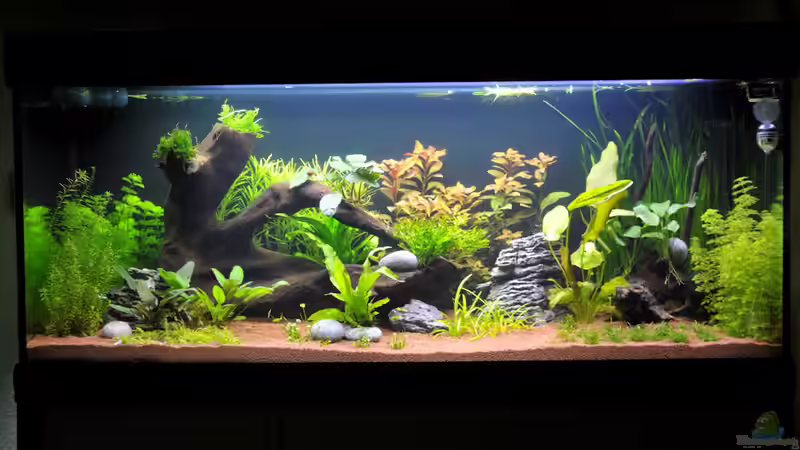 der Anfang von OttoKowalski (3)