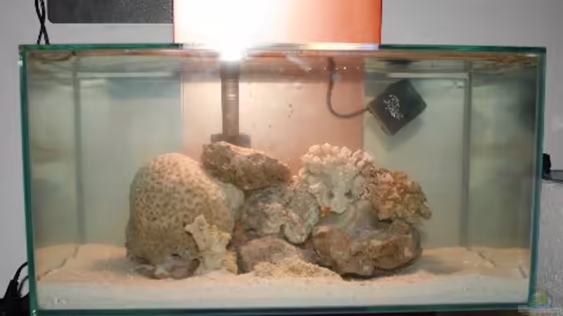 Der Anfang von Stalker (4)