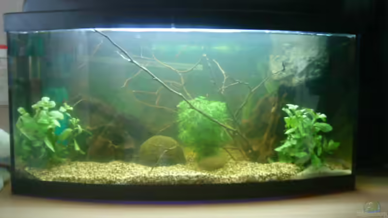 Der anfang von t-time (3)