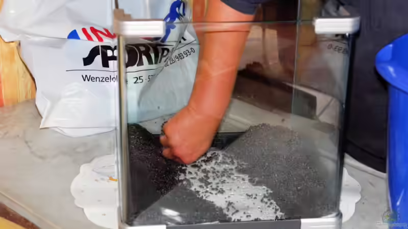 Der Anfang von WSS (3)