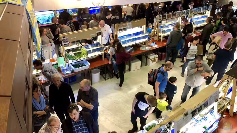 Der Aqua-Day 2020 der Aquarienfreunde Tirol