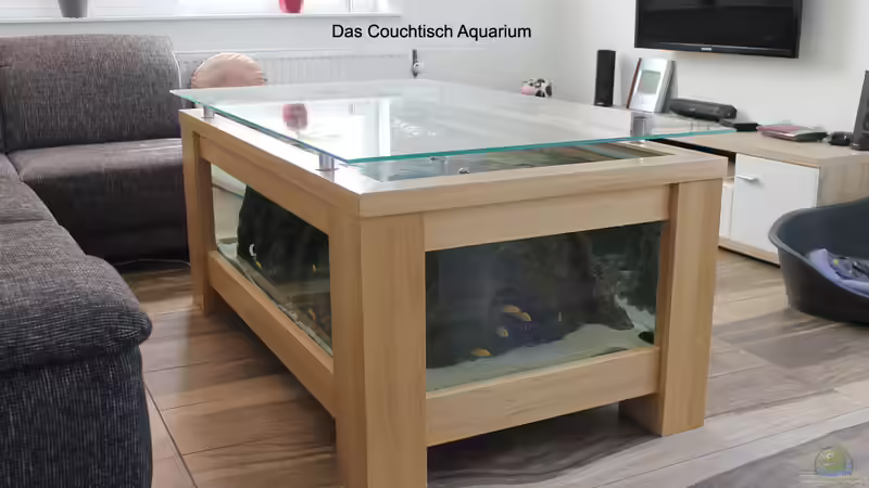 Der Aquarium Couchtisch von Florian Böhling (1)