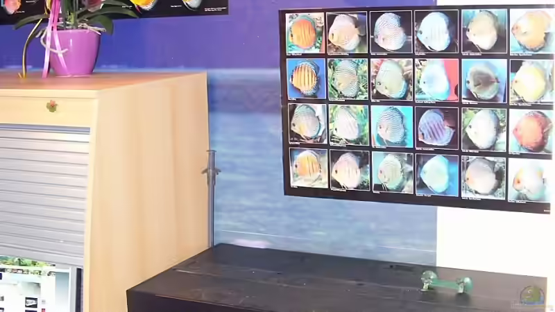 der Arbeitsplatz des scheichs... von Falk (7)