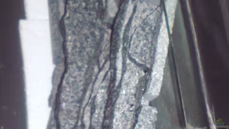 Der Aufbau ( Punkthafte Silikonverklebung ) von metz (4)