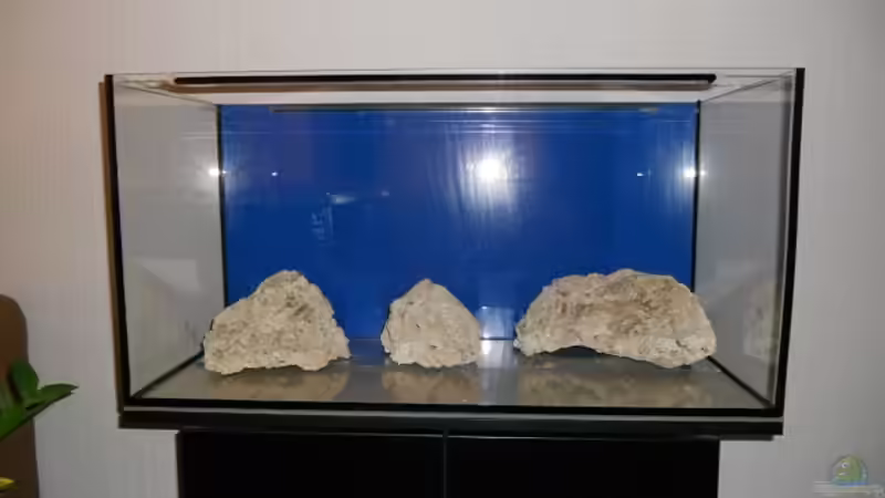 der Aufbau beginnt von Dennis Rienecker (3)