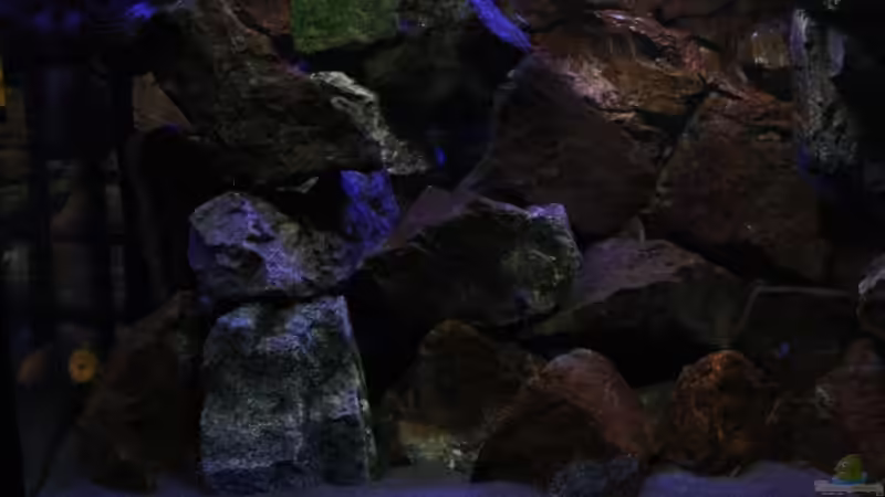 Der Aufwuchs ist inzwischen Klasse gewachsen! von Florian Bandhauer (31)