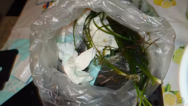 Der Ausschuss an Pflanzen bei einer Reinigung des Beckens von atom010 (32)