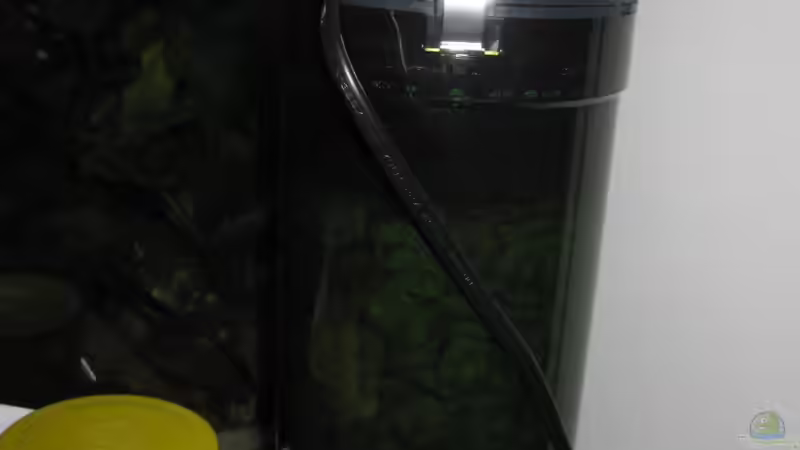 Der Außenfilter, der leider noch neben dem Becken steht. Ich muß den Schrank mal von Jenny (17)