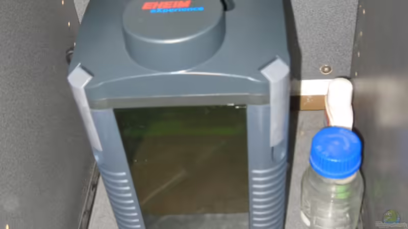 Der Außenfilter. von Jenny (14)