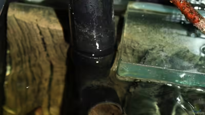 Der Ausströmer des Cristal Profi 1501 von marxbre (51)