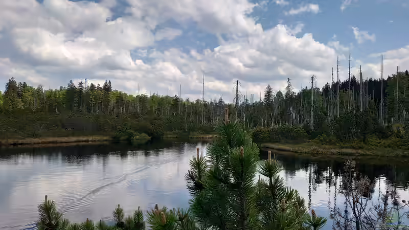 Der Bayerische Wald als Urlaubsziel und Inspiration für Hobbygärtner