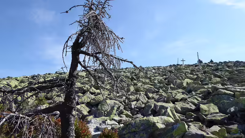 Der Bayerische Wald als Urlaubsziel und Inspiration für Hobbygärtner