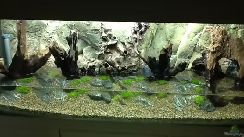 Der Beginn ..... von Olli Nano (4)