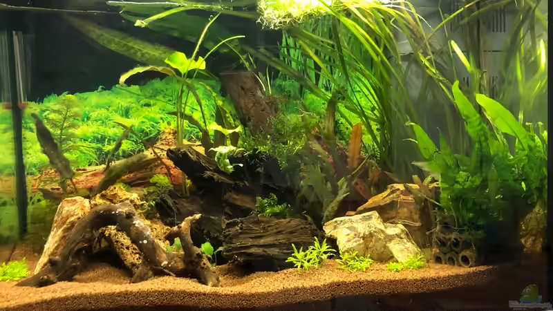 Der Beginn von TR (7)