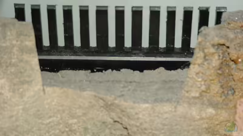 Der ??berlaufkamm wurde hinter der an dieser Stelle ausgeklinkten Rückwand mit Silikon von Georg Botz (16)