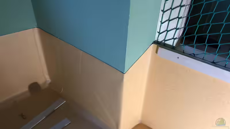 Der Biden wird 50cm in die Höhe verlegt... von Helga Kury (4)